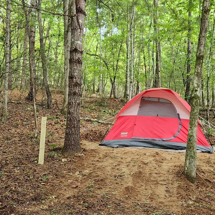 Cowee Campground 5