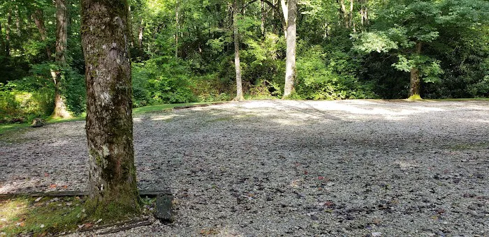 Appletree Group Campground 6