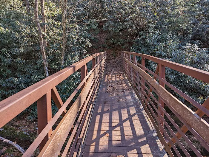 Forestry Department 2