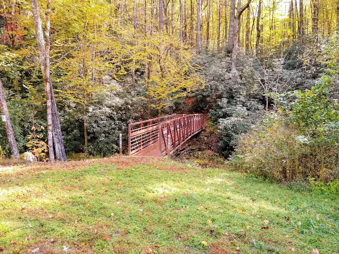 Forestry Department 9