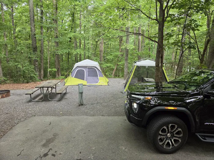 McDowell Campground 10