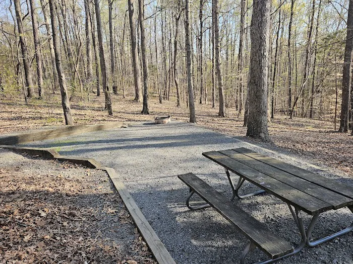 McDowell Campground 14
