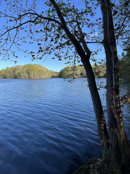 Cane Creek Campground 1