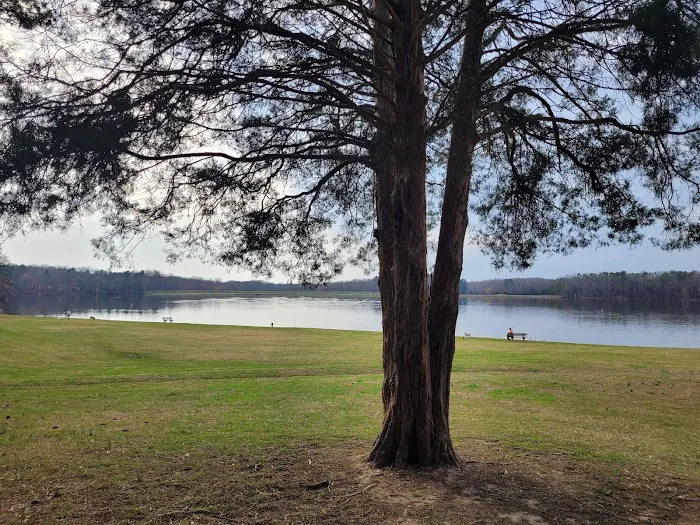 Cane Creek Campground 4