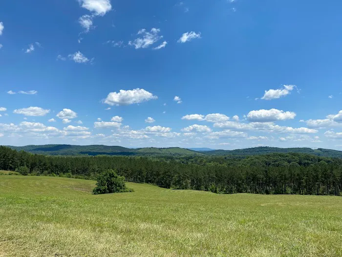 Eads Bluff Overlook Campground 3