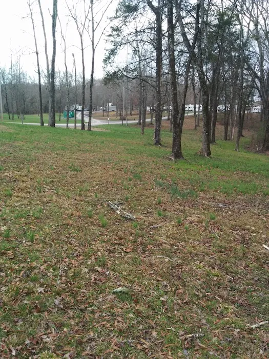 The Meadow @ Burnsy Acres 5