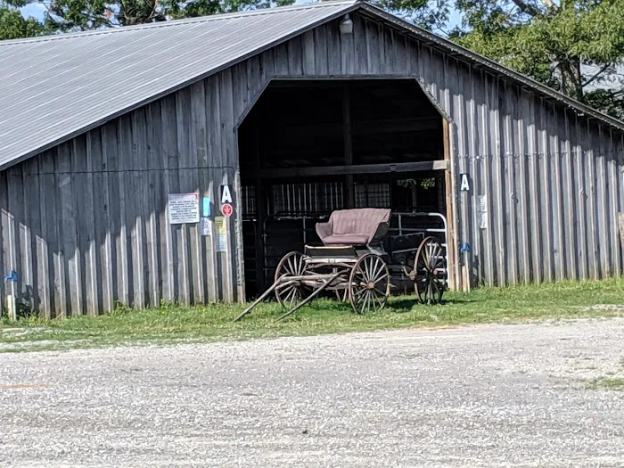 Rocky Top RV & Campground 7