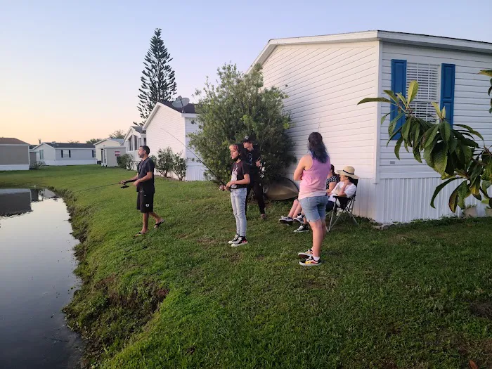 Palm Shores Mobile Village 1