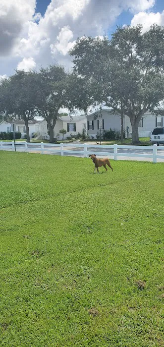 Palm Shores Mobile Village 5