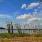 The Outpost RV Resort Park Community