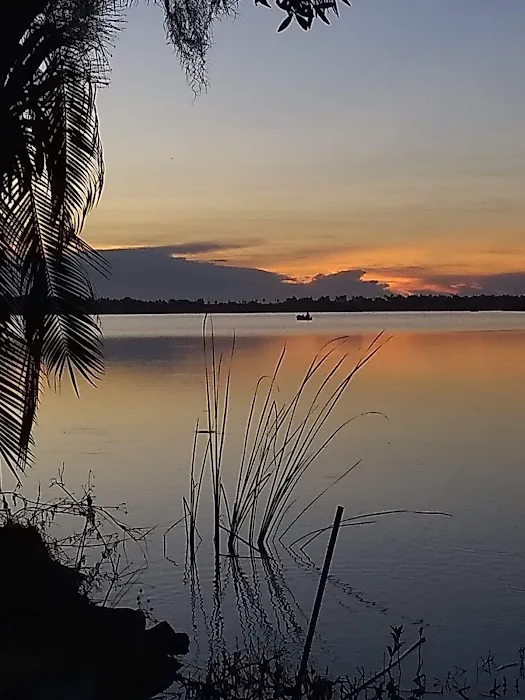 Ripley's Sunrise Cove 7