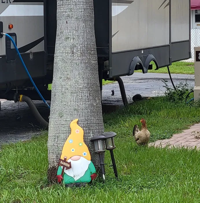 East Haven RV Park 10