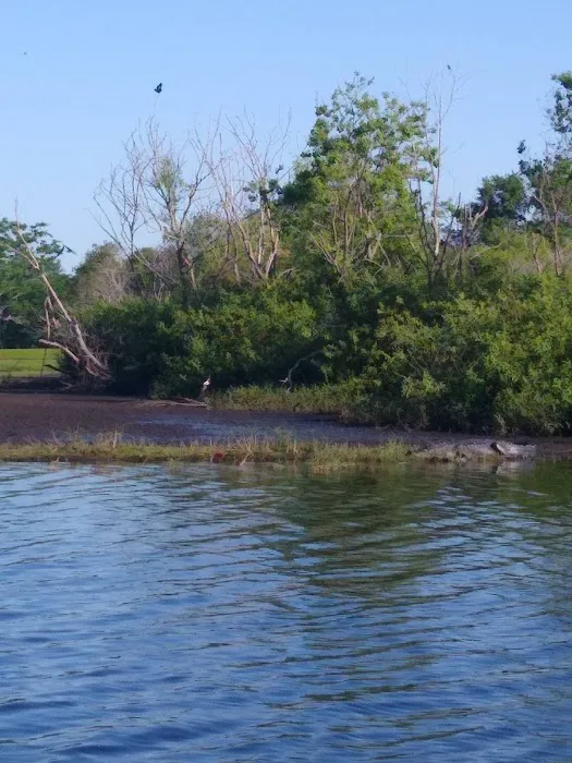 Lake Runnymeade 2