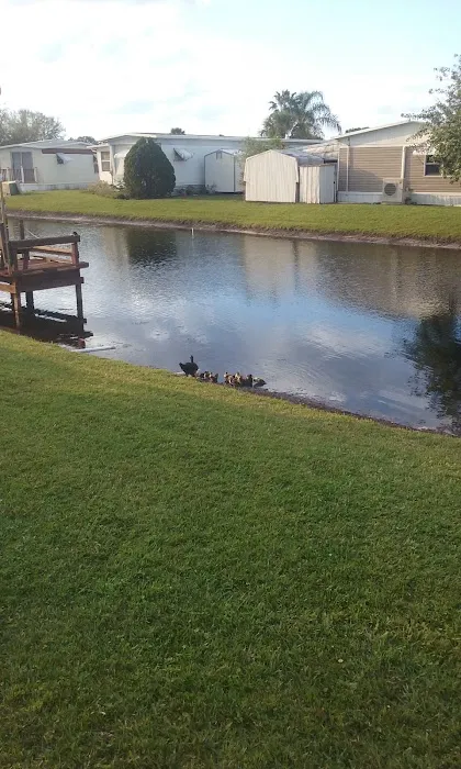 Lake Runnymeade 4