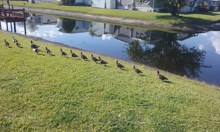 Lake Runnymeade 5