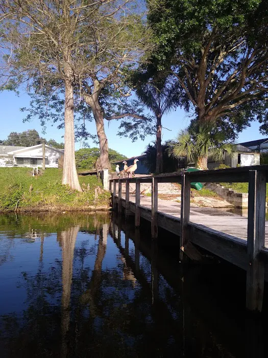 Lake Runnymeade 6
