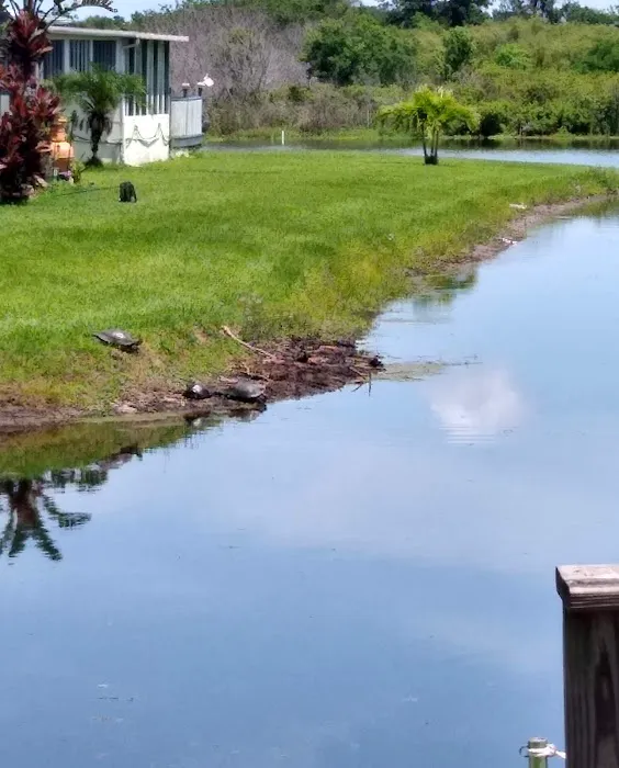 Lake Runnymeade 9