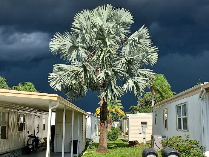 Sunshine Mobile Home Park 22