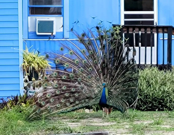 Sunshine Mobile Home Park 45