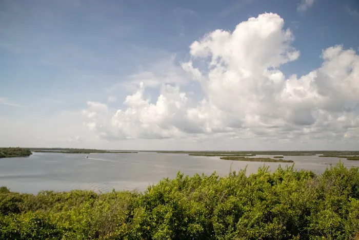 Canaveral National Seashore Backcountry Island Campground 4