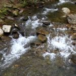 Mountain View RV/Mobile Home Park