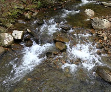 Mountain View RV/Mobile Home Park