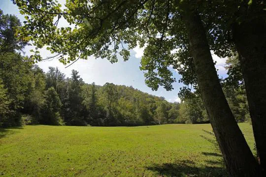 Pisgah Riverbend 8