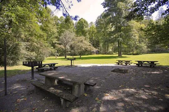 Pisgah Riverbend 11
