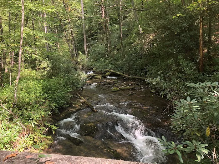 Pisgah Riverbend 12