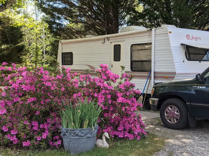Field Trip Travelers Rest 36
