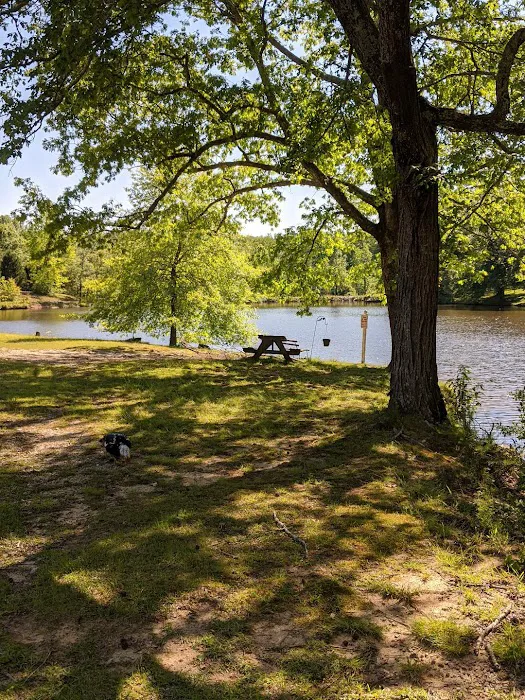 Field Trip Travelers Rest 40