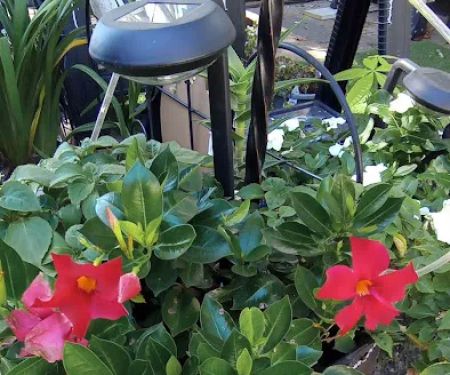 Pebble Springs 55+Manufactured Housing Community