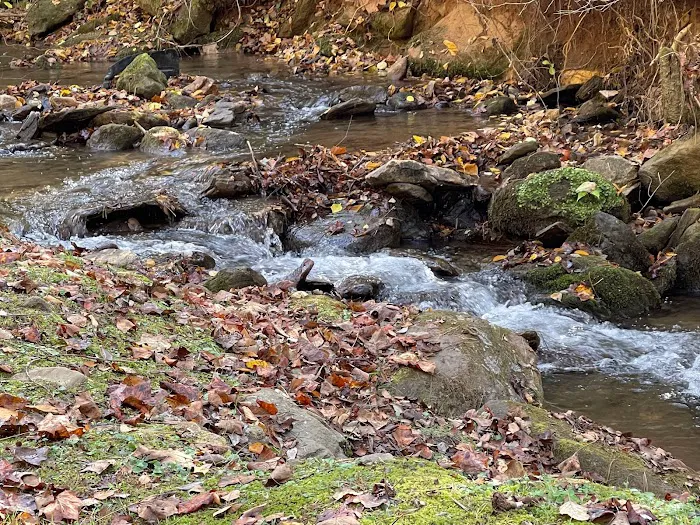 Cane Creek Holler 2