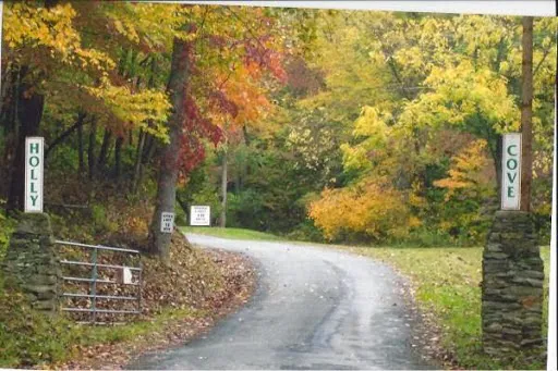 Tuckaseegee RV Resort 5