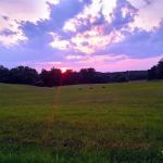 Walkers Mobile Home Park