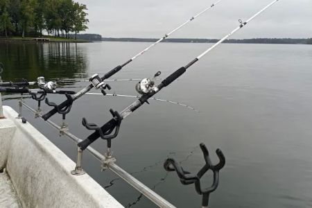 Broad River Campground