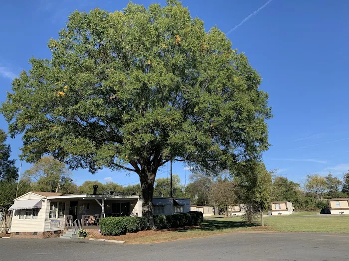 Carowinds Camp Wilderness RV 6