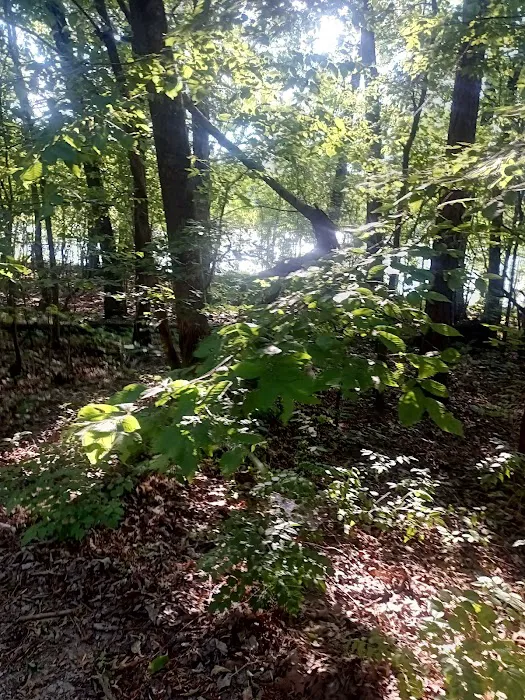 Slickrock Campground 8