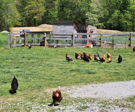 Little Possum South Campsite