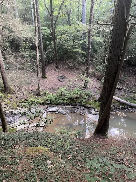 Little Possum North Campsite 1