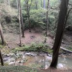 Little Possum North Campsite