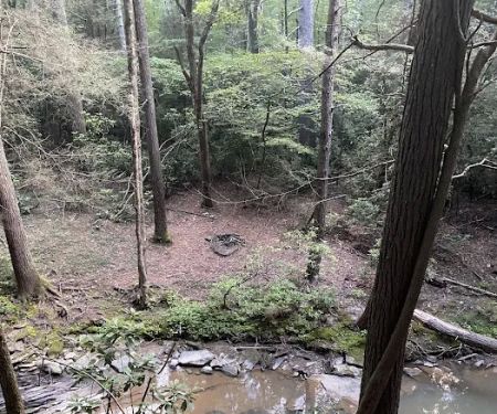 Little Possum North Campsite