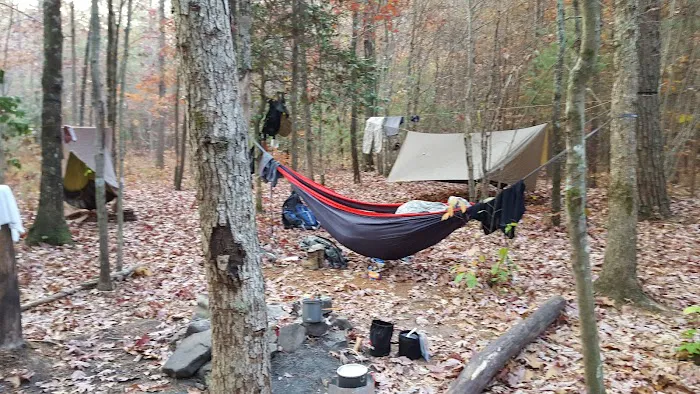 Little Possum North Campsite 2