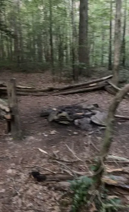 Little Possum North Campsite 5