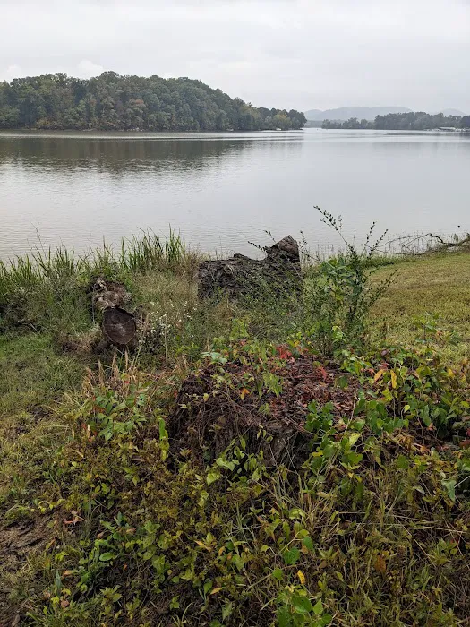 Armstrong Ferry Campground 5