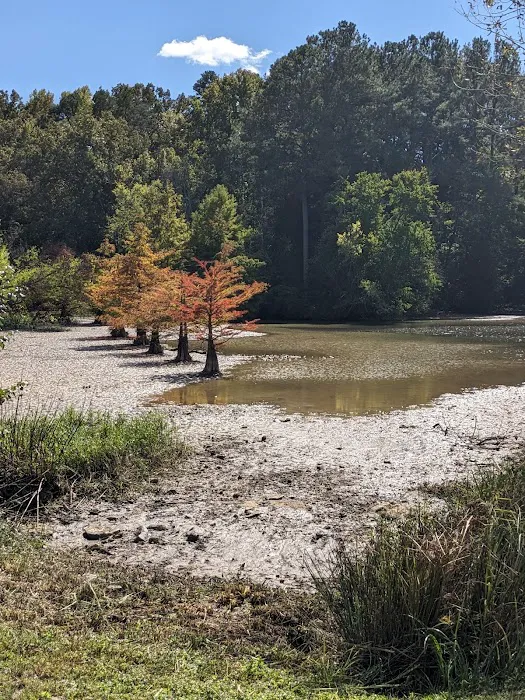 Armstrong Ferry Campground 7