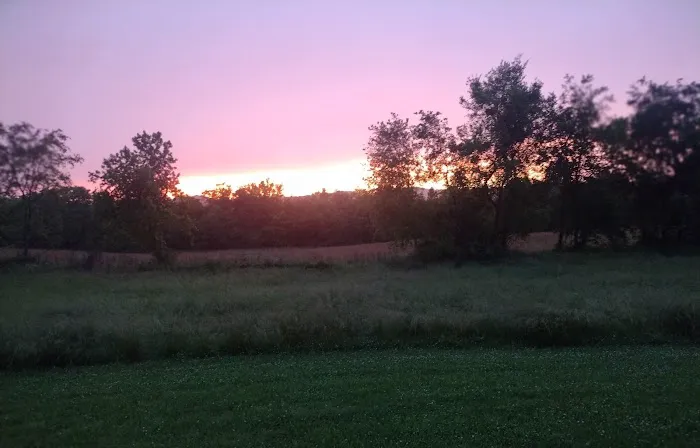 Cottonport Landing 6