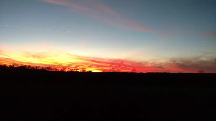 Cottonport Landing 5