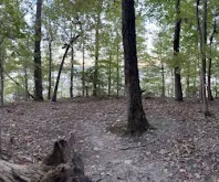 Tims Ford State Park Lost Creek Campsite