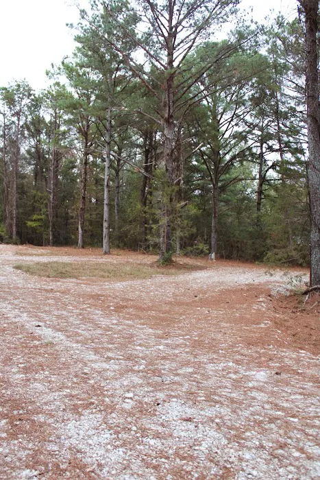 Georgia Mountain RV Resort 3